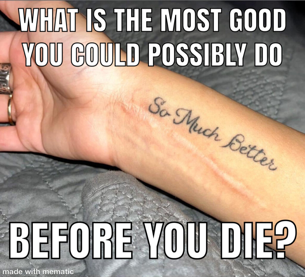 What is the most good you could possibly do before you die?