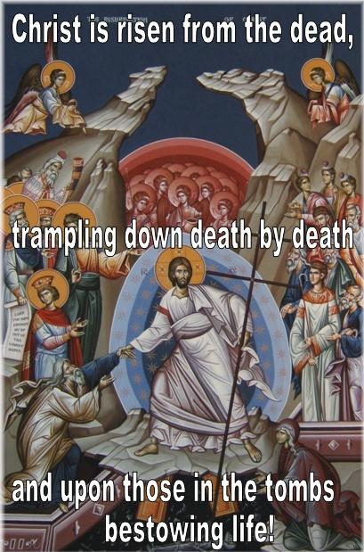 Christ is risen from the dead, trampling down death by death and upon those in the tomb bestowing life