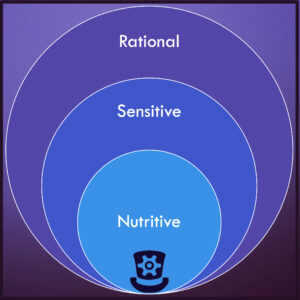 Nutritive, Sensitive, Rational